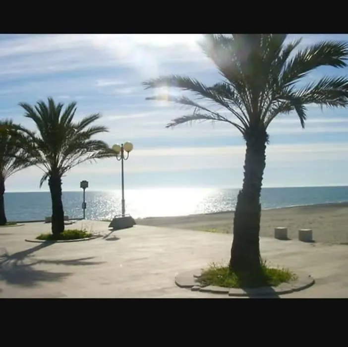 Belvedere-1
